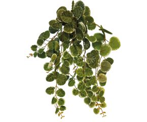 Repto Hangplant Round Leaves 46cm