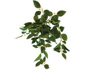 Repto Hangplant Green 46cm