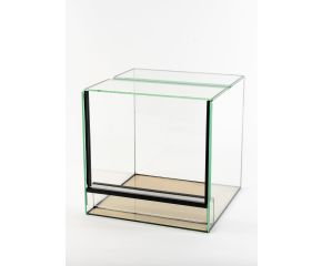 Budget Spinnen Terrarium 30x30x25