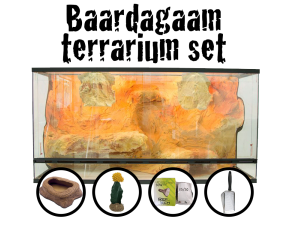 Baardagamen starter set 3D Rock Groot