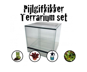 Pijlgifkikker starter set standaard