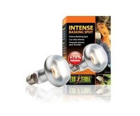 Exo Terra Sun Glo Tight Beam Basking Spot Lamp 100 W