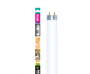 Arcadia D3 Desert T8 lamp 38w 105cm 10% UVB