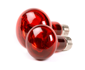 RepTech Infrarood Lamp 25W