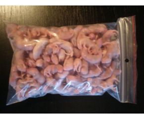 Diepvries babymuis groot (3-5 gram, zonder haar)